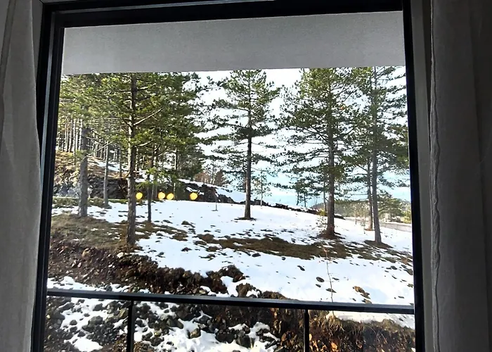 Forest Side Apartmani